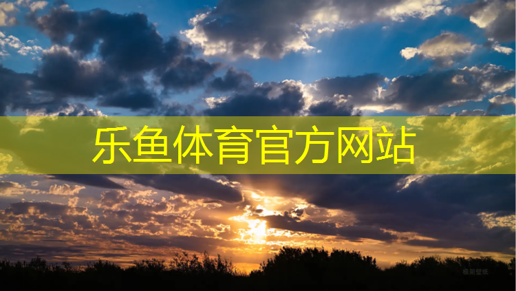 乐鱼体育,室外篮球架报价及及价格