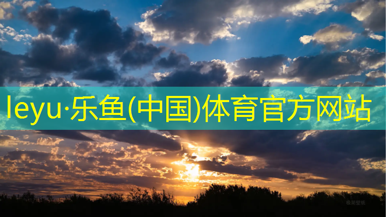 乐鱼体育,南昌网球网价格查询