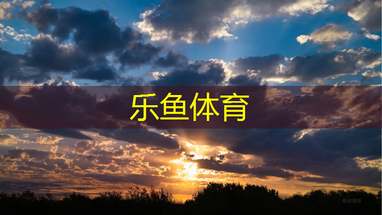 乐鱼体育官方网站,连续跳体操垫好不好