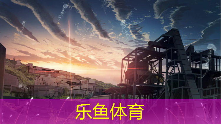 乐鱼体育,踏步机的健身器材