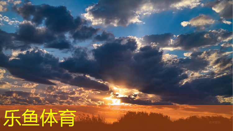 临沂公园塑胶跑道