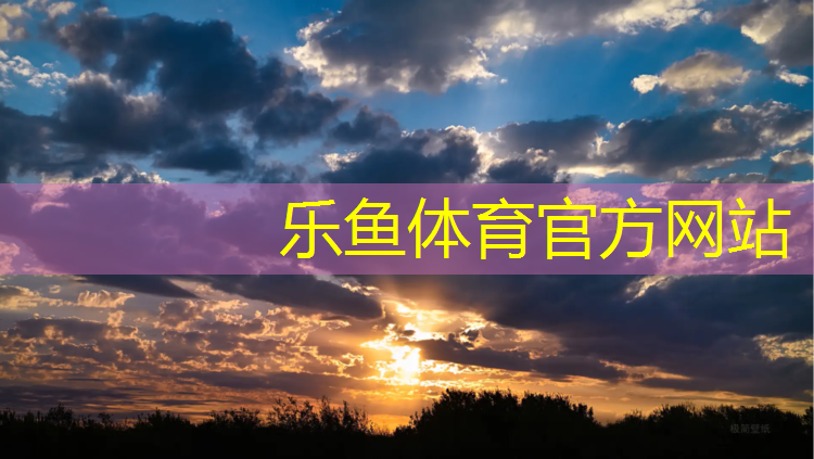 南昌网球网价格查询