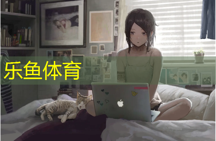 网球网两边的高